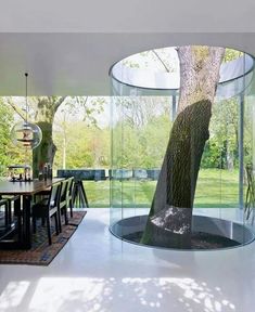 a tree in the middle of a room with glass walls