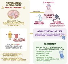 an info sheet describing the different types of medical devices and their functions in this diagram