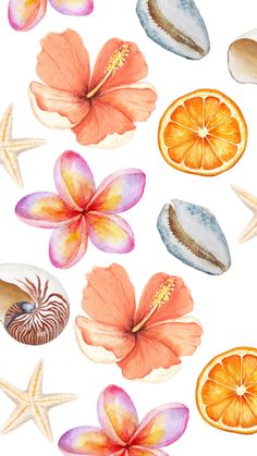 an image of watercolor flowers and seashells