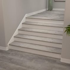 there is a plant that is on the top of some stairs in this house with white walls and wood flooring