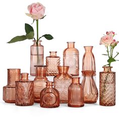 a group of vases with flowers in them on a white background and one pink rose