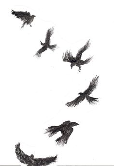 four black birds are flying in the sky