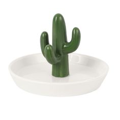 a small green cactus sitting on top of a white plate