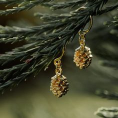 Pinecone Earrings - Sterling Silver Gold Plated Ear jewelery that brings out your gentle and playful side: You will definitely succeed with our cute gold-plated pinecone earrings. They consist of two earrings with small filigree pine cones. Especially in winter and at Christmas time, the magic of the earrings comes into its own. But you can also combine the pine cone earrings with many other pieces of jewelery for the rest of the year - e.g. with the matching pine cone necklace. Size of the char Hypoallergenic Gold Cluster Earrings As Gift, Dainty Gold Cluster Earrings As A Gift, Gold Drop Earrings For Christmas, Gold Sterling Silver Cluster Earrings As Gift, Gold Sterling Silver Cluster Earrings For Gifts, Gold Cluster Earrings In Sterling Silver As A Gift, Nature-inspired Yellow Gold Earrings For Gift, Pine Cone Earrings, Pinecone Necklace