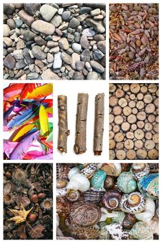 several different types of rocks and wood are shown in this collage with text overlay