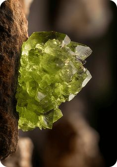 Peridot True Purpose, Detox Cleanse, Green Gems, Energy Field, Plexus Products, Healing