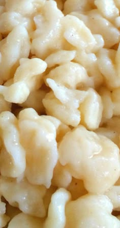 macaroni and cheese is shown close up