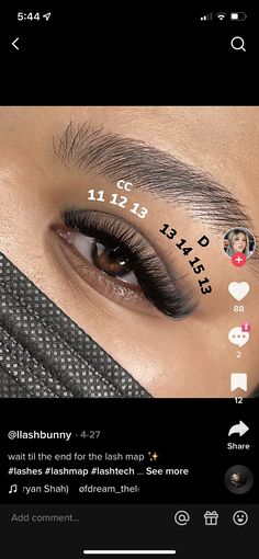 Lash Maps Hybrid, Lash Length Extensions, Cat Eye Lash Extensions Mapping, Classic Lash Extensions Styles Map, Lash Extensions Sizes