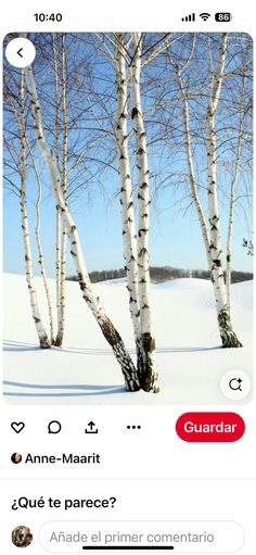 an instagram page with trees in the snow and one person on skis looking up at them