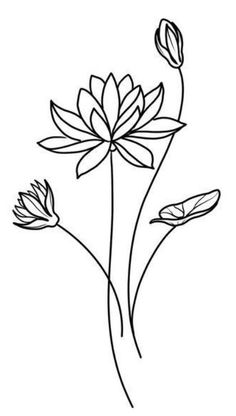 three flowers are shown in black and white, with one flower on the other side