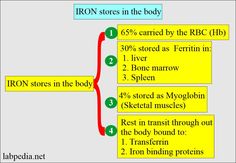 Clinical Laboratory, Iron Deficiency, Iron Rich, Body Fluid, Bone Marrow, Red Blood Cells, The Patient, Blood Test, Autoimmune Disease