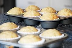 muffins are sitting in the tray on the counter