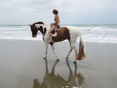 a woman riding on the back of a brown and white horse next to the ocean