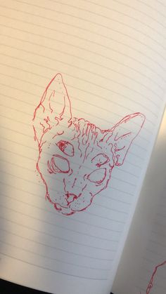 a drawing of a cat with red ink on it's face in a notebook