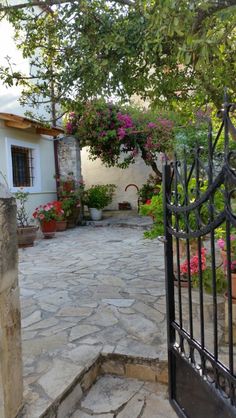 an iron gate leading to a house with potted plants