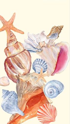 watercolor painting of seashells and starfish