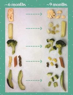 broccoli, cheese, and other foods are arranged on a white sheet with green dots