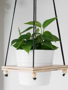 a potted plant hanging from a wooden shelf