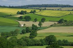 an aerial view of green fields and trees in the distance with a white house on one side