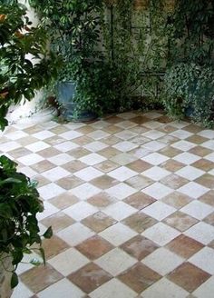 a tiled floor with potted plants in the corner