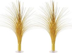 two tall golden grass stems in white vases