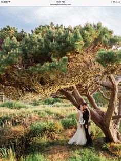 a bride and groom standing in front of a tree