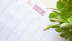 a calendar sitting on top of a table next to a potted plant and pen