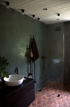 a bathroom with a sink, shower and toilet in it's stall area next to a plant