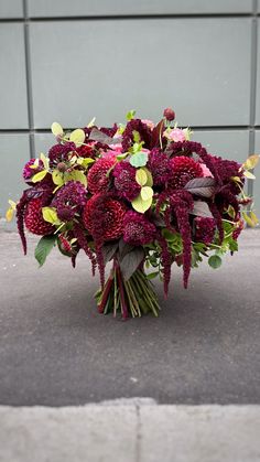 a bouquet of red flowers sitting on the ground next to a gray wall and door