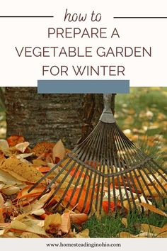 a rake laying on top of leaves next to a tree with the words 5 tasks to prepare your garden for winter