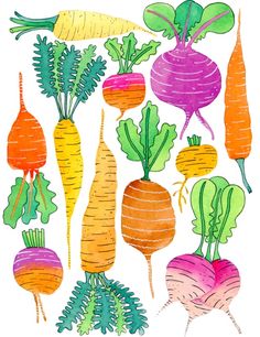 a bunch of different colored vegetables on a white background with green leaves and carrots