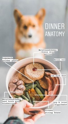 a person holding a bowl filled with food and a dog looking at the contents in it