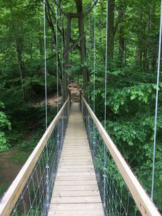 a wooden suspension bridge in the middle of a forest