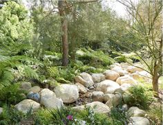 a garden with rocks, plants and trees