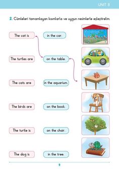 an english worksheet with pictures of animals and things to see on the screen