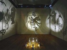 shadows cast on the wall and floor in front of a glass case with various objects