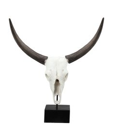 a bull's skull with large horns on a black stand against a white background