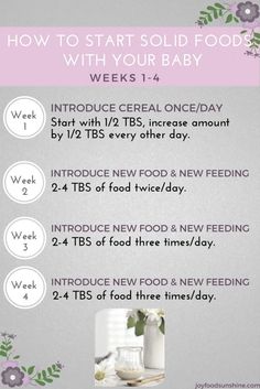 the instructions for how to start solid foods with your baby, including an info sheet