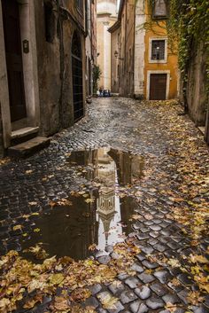 an alleyway with cobblestones and trees on both sides, in the fall