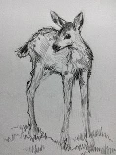 a drawing of two deer standing next to each other on top of a grass covered field