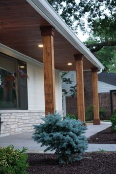 a small blue tree sitting in the middle of a yard next to a house with wooden pillars