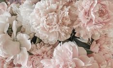 pink and white peonies are arranged together