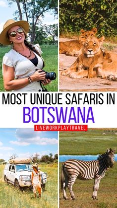 the most unique safaris in botswana