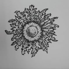 a black and white drawing of a sunflower