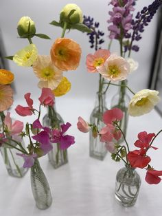 Sweet, fun and bright peach, cerise, gold, butter yellow, lilac and lavender colors in clear glass bud vases and tall vintage bottle collection with peonies, lupine, snapdragons, Iceland poppies, and sweet peas for a Maine wedding in the spring Sweet Pea Bud Vase, Colorful Bud Vases Wedding, Bud Vases For Wedding, Vase Inspiration, Iceland Poppies, Vases For Wedding, Bud Vases Wedding, Marquee Decoration, Wedding Flower Vase