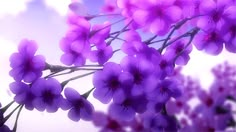 purple flowers are in the foreground, with blue sky in the backgrounnd