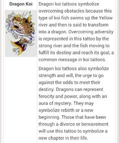 an article about dragon koi and its meaning