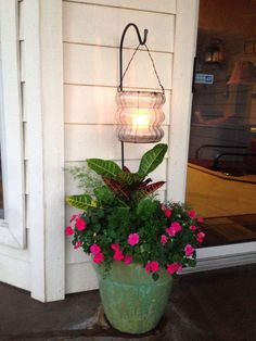 a potted plant with pink flowers on the front porch