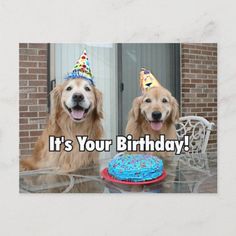 two golden retrievers sitting at a table with a birthday cake in front of them