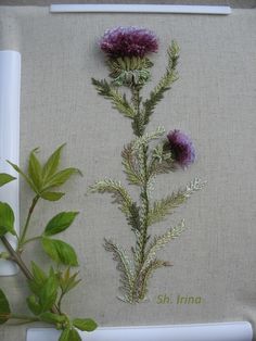 some flowers are sitting on a piece of fabric